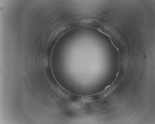 X0000062890758200601201845