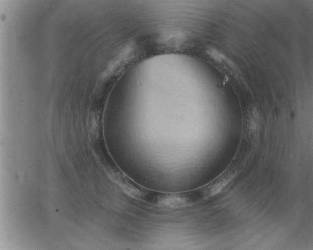 X0000062890759200601201845