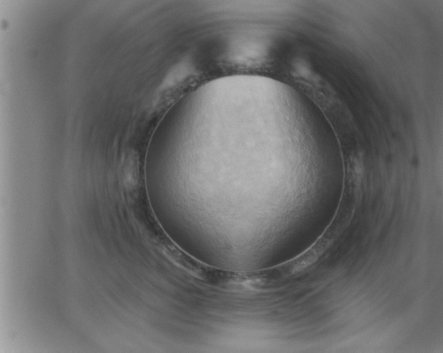 X0000062890760200601201845