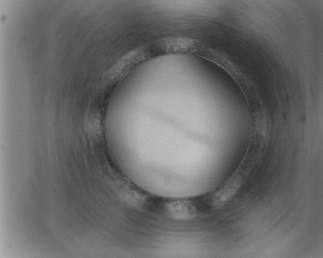 X0000062890761200601201845