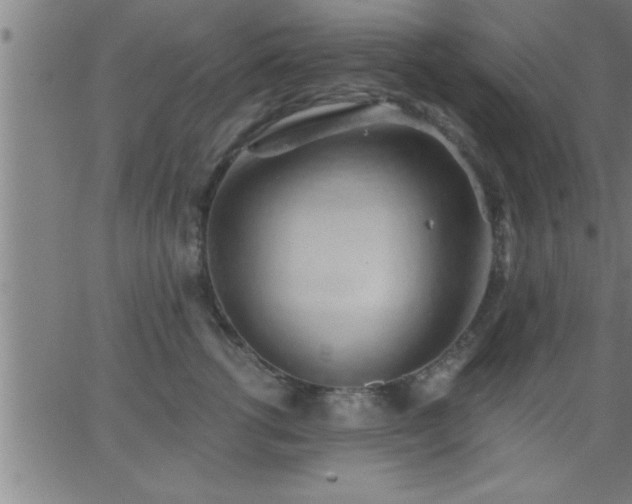 X0000062890762200601201845