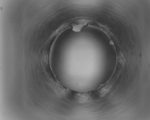 X0000062890763200601201845