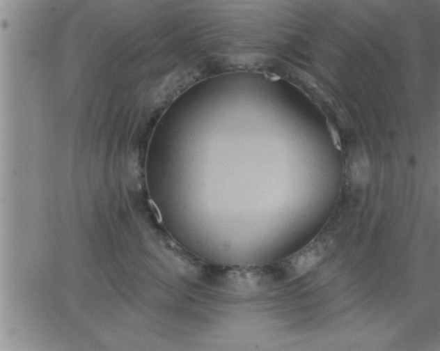 X0000062890764200601201845