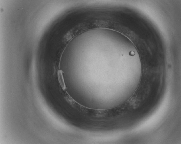 X0000062890765200601201845