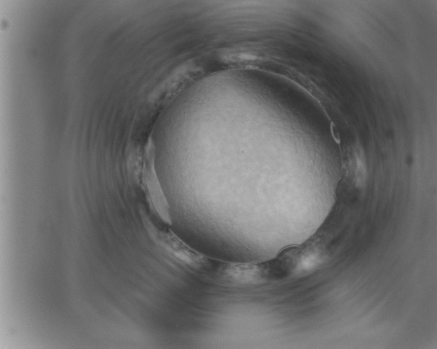 X0000062890767200601201845