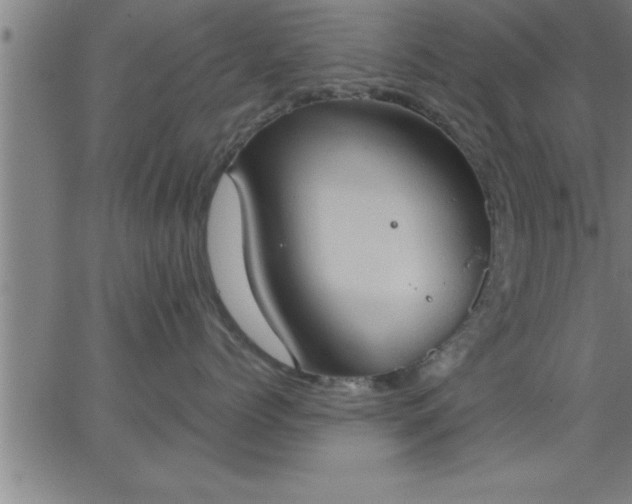 X0000062890768200601201845