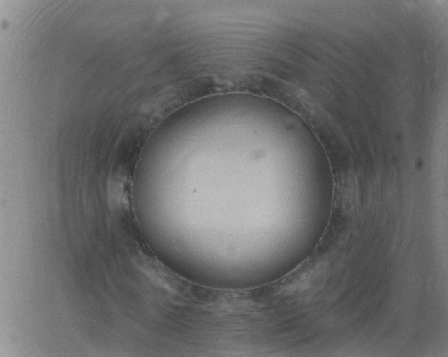 X0000062890770200601201845