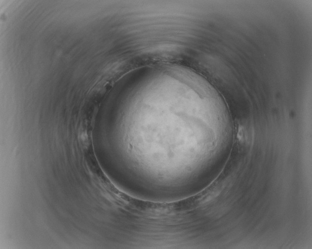 X0000062890771200601201845