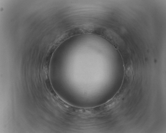 X0000062890772200601201845