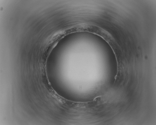 X0000062890773200601201845