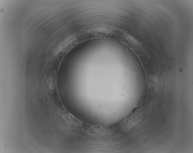 X0000062890774200601201845