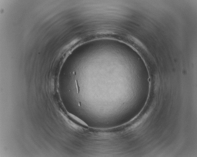 X0000062890777200601201845