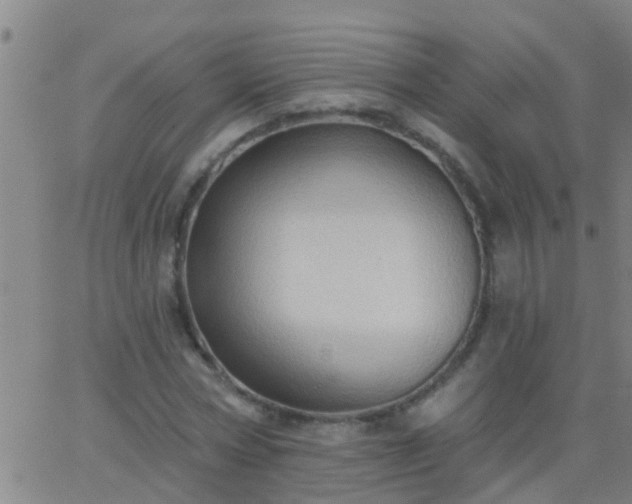 X0000062890778200601201845