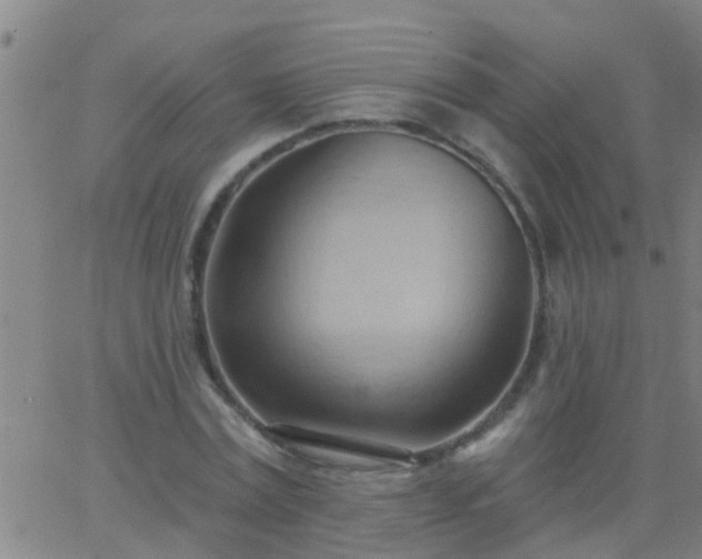 X0000062890779200601201845