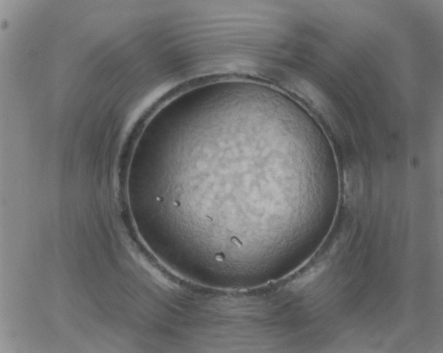 X0000062890780200601201844