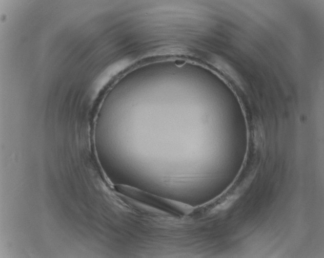 X0000062890781200601201844