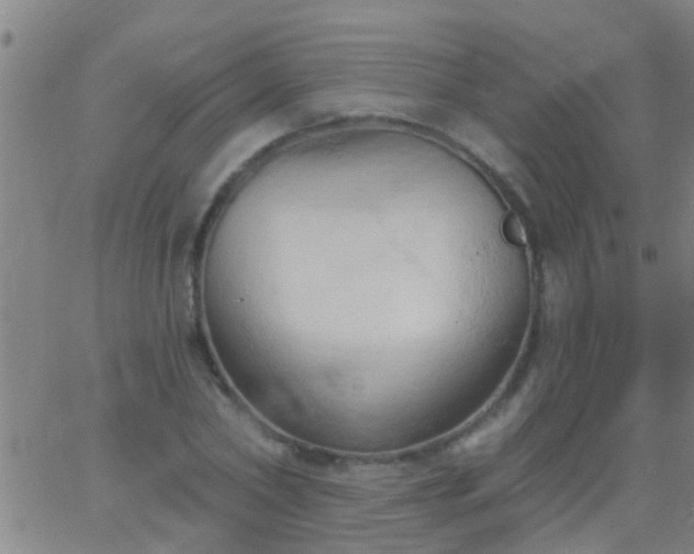 X0000062890782200601201844