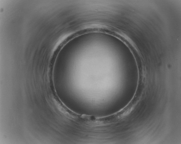 X0000062890783200601201844