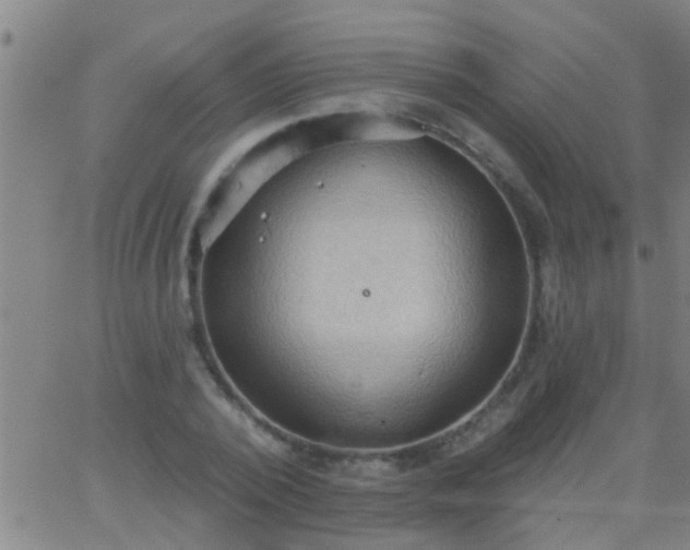 X0000062890784200601201844