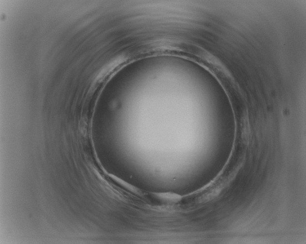 X0000062890785200601201844