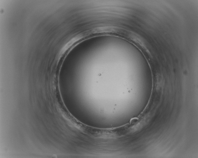 X0000062890786200601201844