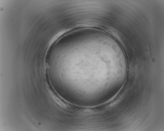 X0000062890787200601201844