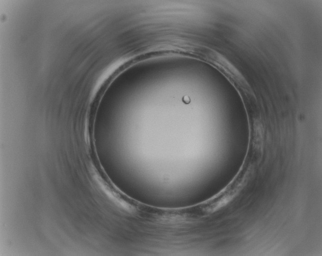 X0000062890788200601201844