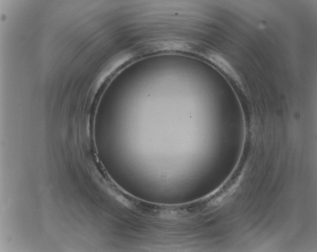 X0000062890790200601201844