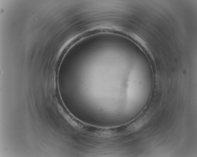 X0000062890791200601201844