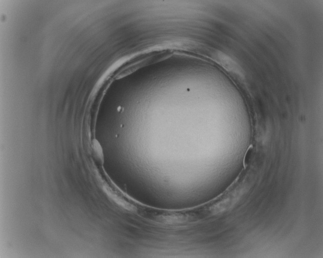 X0000062890792200601201844