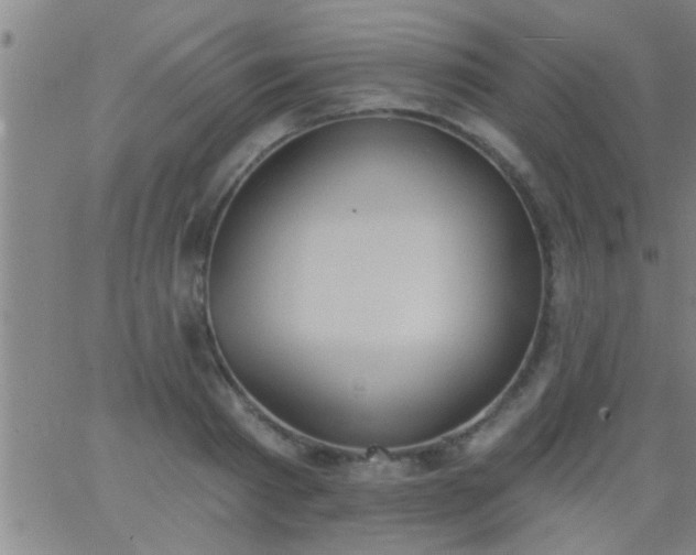 X0000062890793200601201844