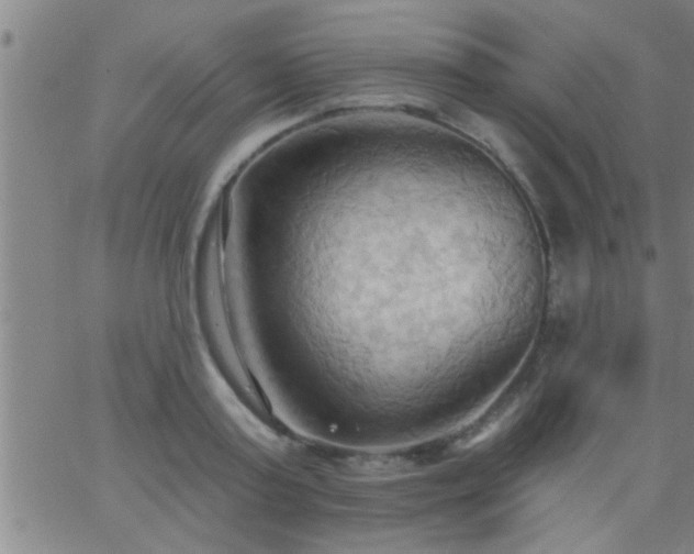 X0000062890795200601201844