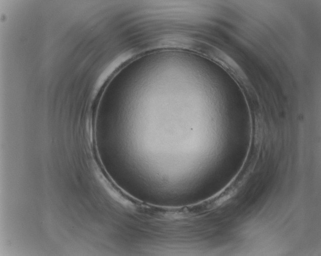 X0000062890796200601201844