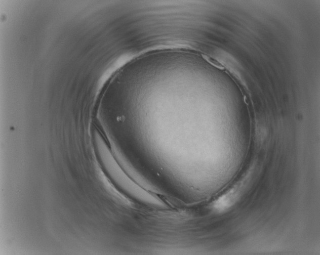 X0000062890797200601201844