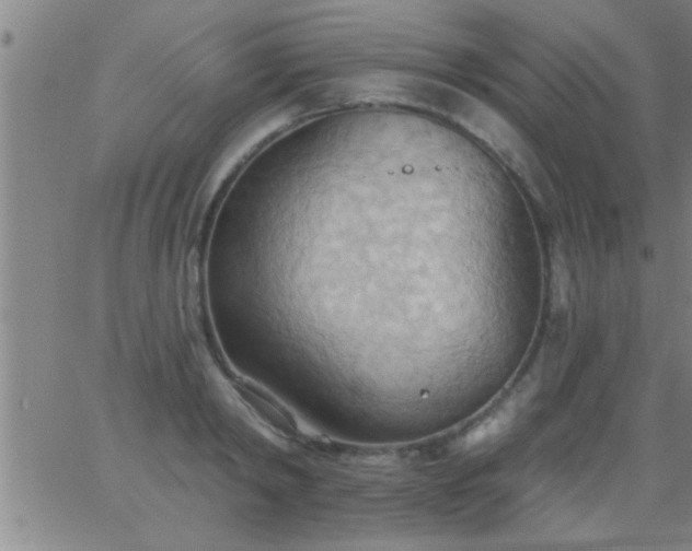 X0000062890798200601201844