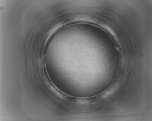 X0000062890799200601201844