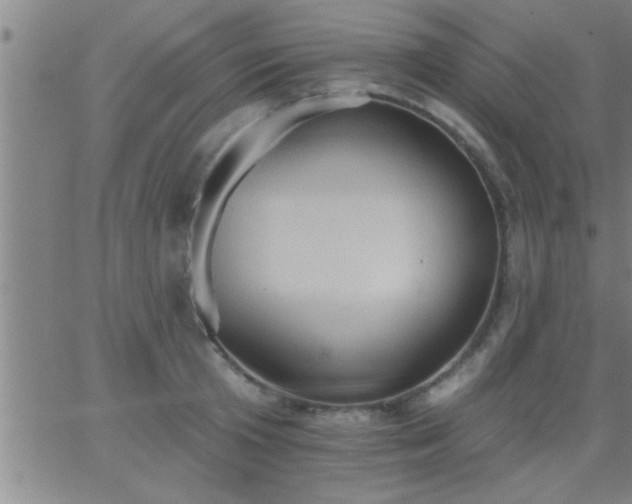 X0000062890801200601201844