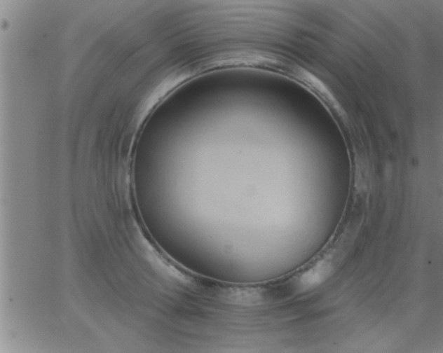 X0000062890802200601201844