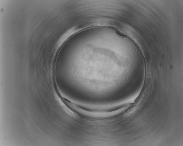 X0000062890803200601201844