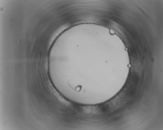 X0000062890804200601201844