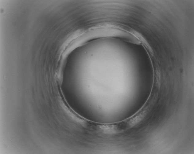 X0000062890805200601201844