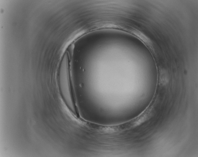 X0000062890806200601201844