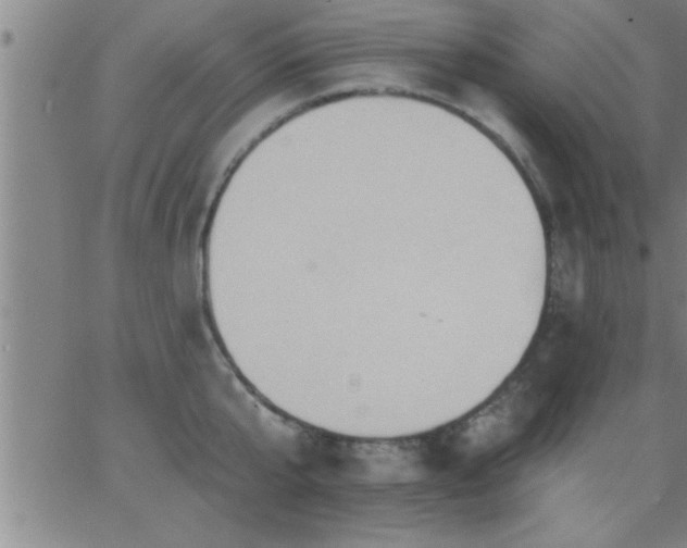 X0000062890807200601201844