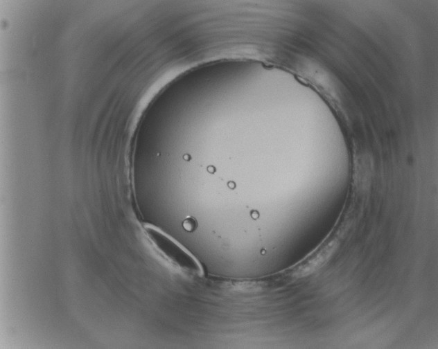 X0000062890808200601201844