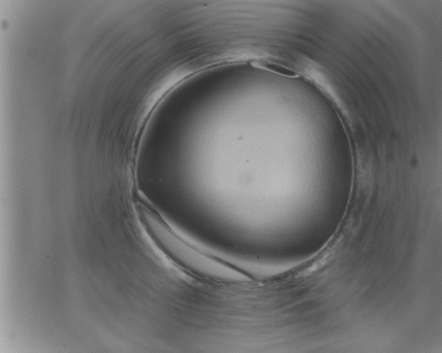 X0000062890810200601201844