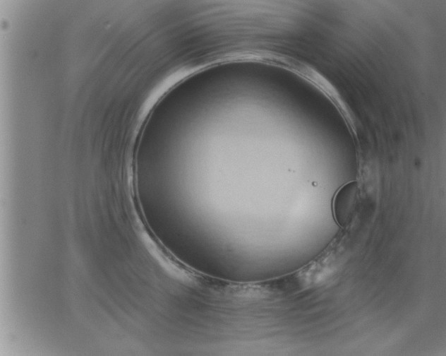 X0000062890811200601201844