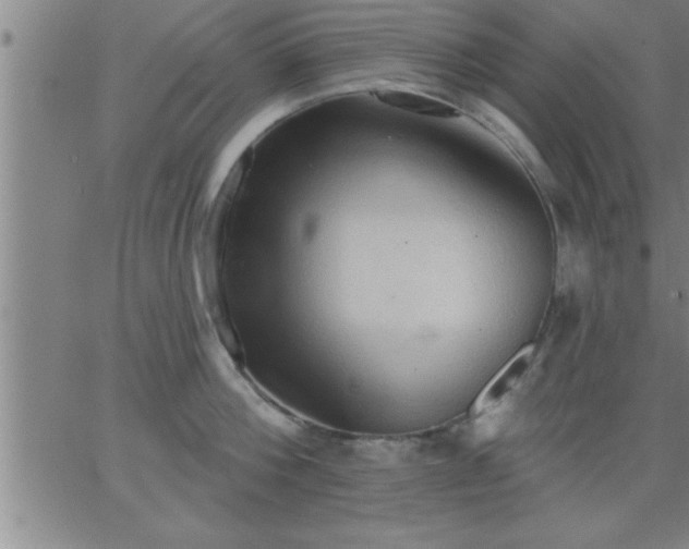 X0000062890812200601201844