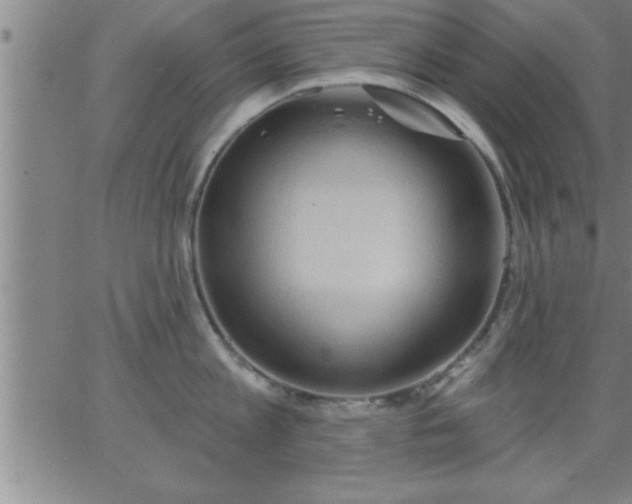 X0000062890813200601201844