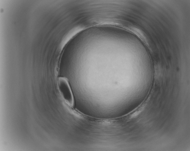 X0000062890814200601201844