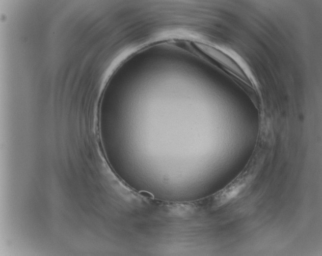 X0000062890815200601201844